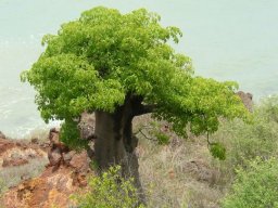 269089_10150262255559901_2292660_n